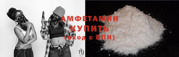 винт Ельня