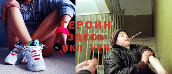 винт Ельня